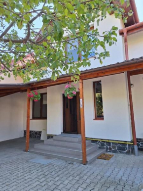 Casa in centrul Zalaului